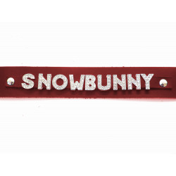 Red Leather Collar SNOWBUNNY